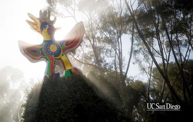 Sun God
